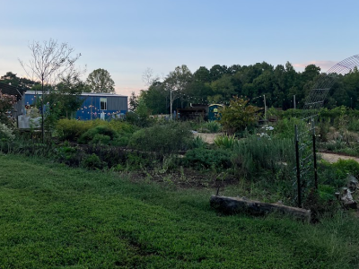 pluck farm scene